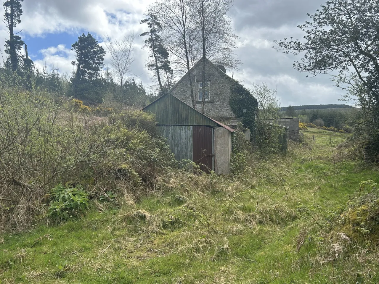Photo of 51.6 Acre Residential Holding, Knockwatear, Killavullen, Co. Cork, P51 E0E4