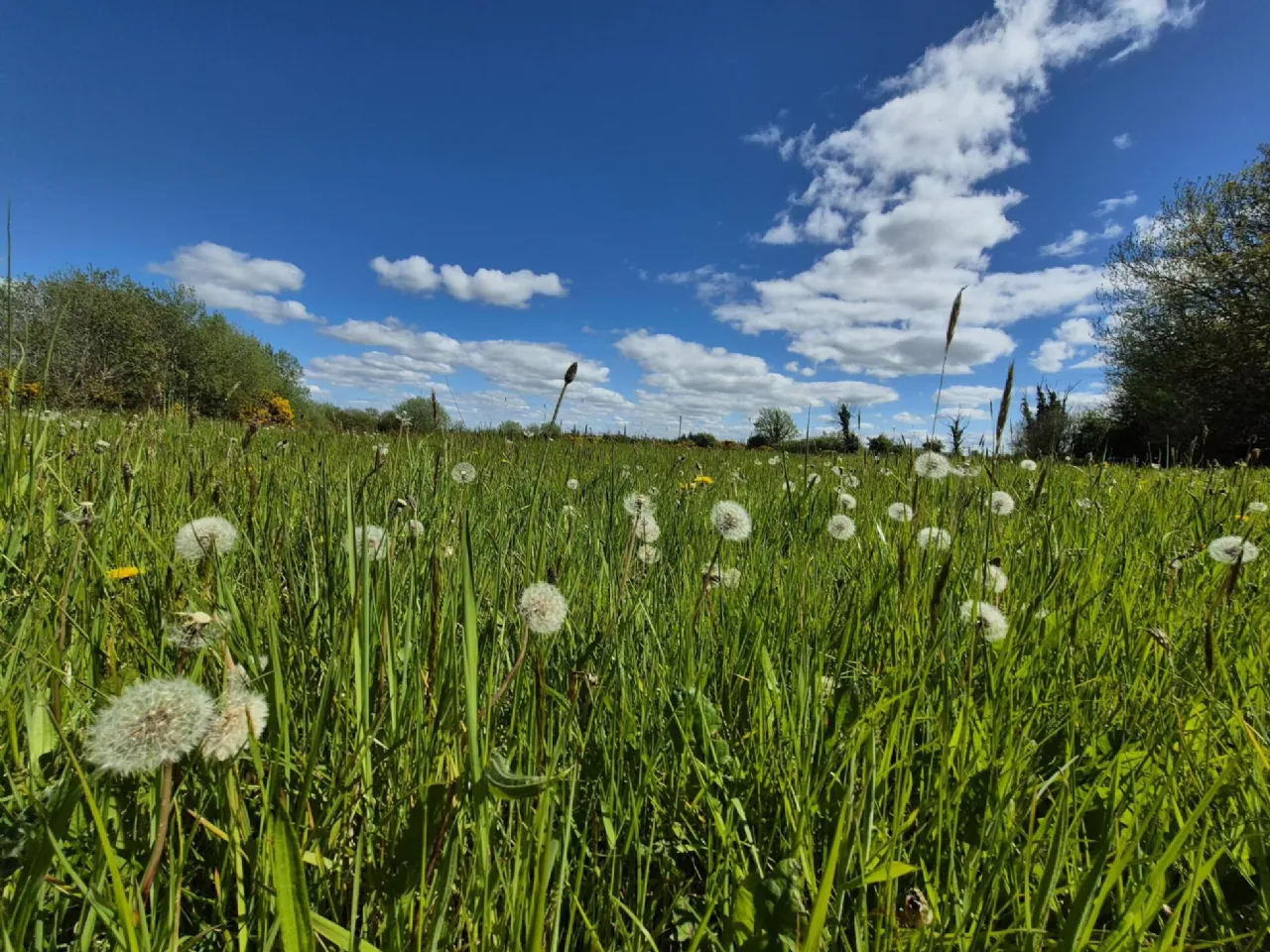 Photo of Pollaturick, Milltown, Co. Galway
