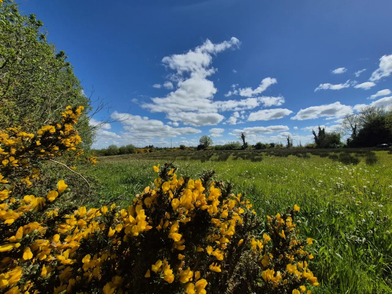 Photo of Pollaturick, Milltown, Co. Galway