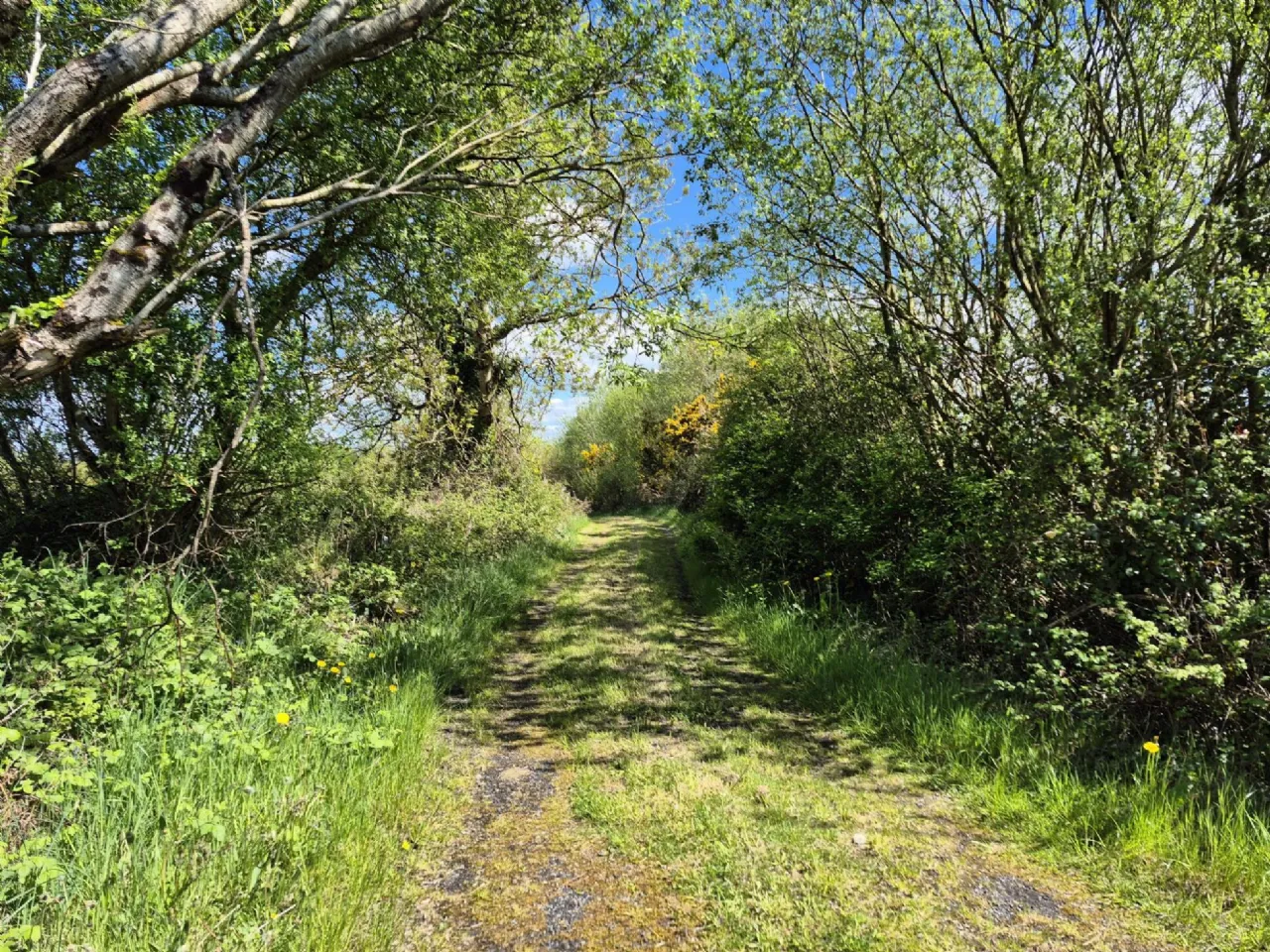 Photo of Pollaturick, Milltown, Co. Galway