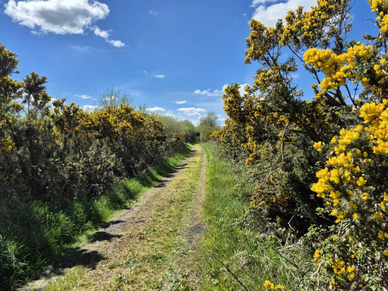 Photo of Pollaturick, Milltown, Co. Galway