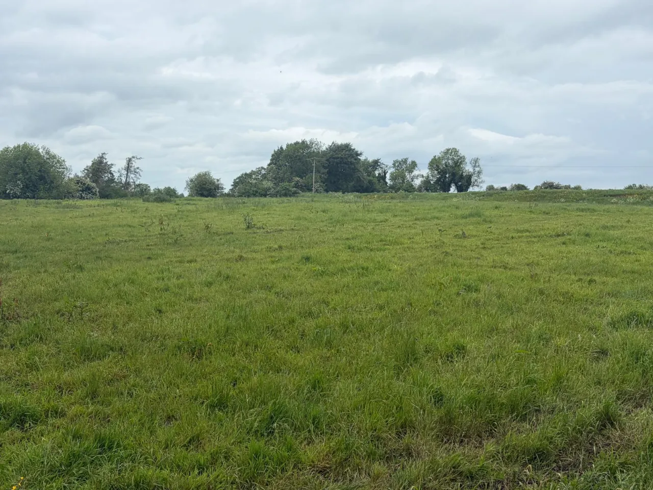 Photo of Ollatrim, Toomevara, Nenagh, Co. Tipperary