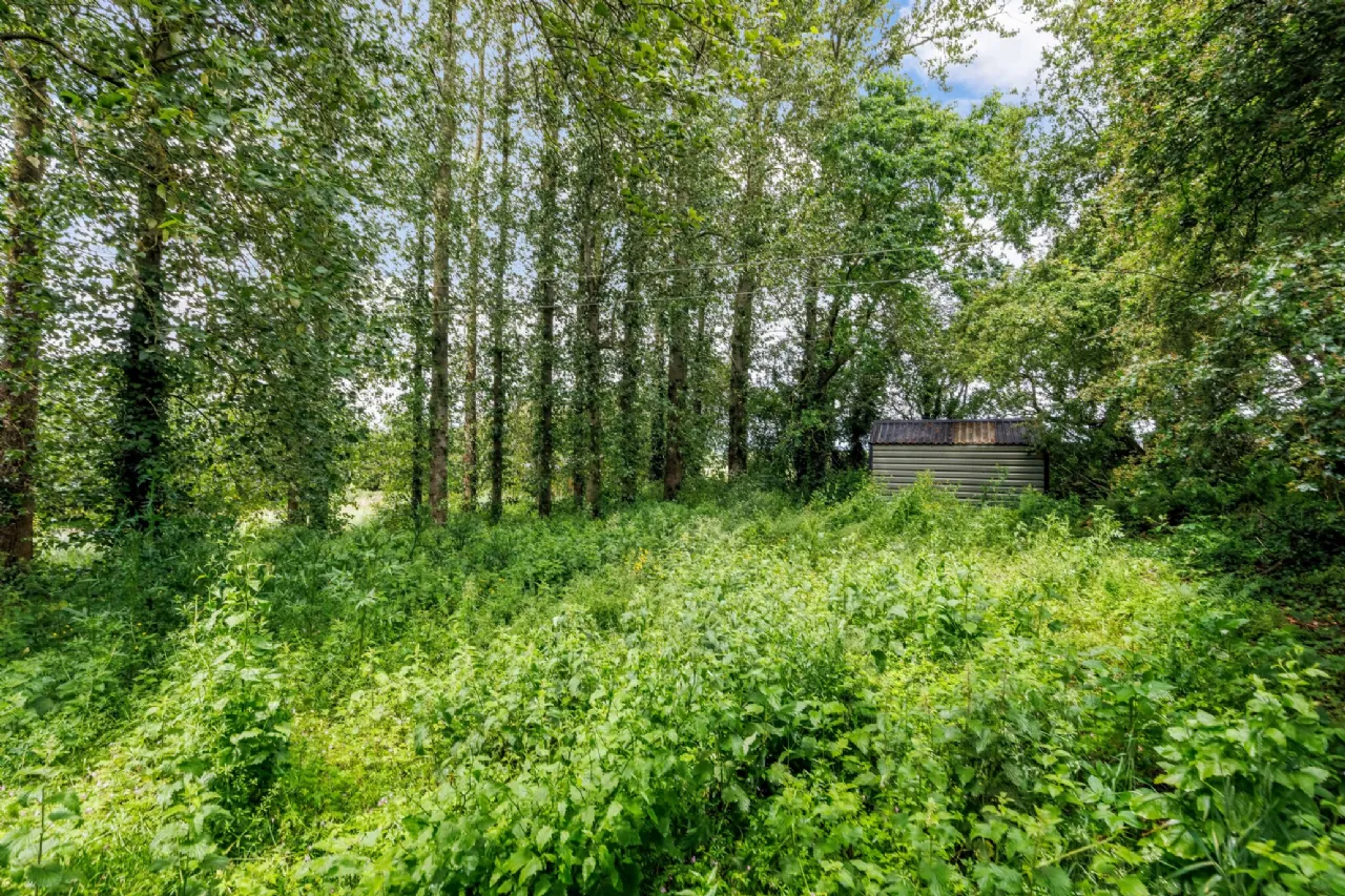 Photo of Stoat Cottage, Painestown, Dunshaughlin, Co Meath, A85 RH29