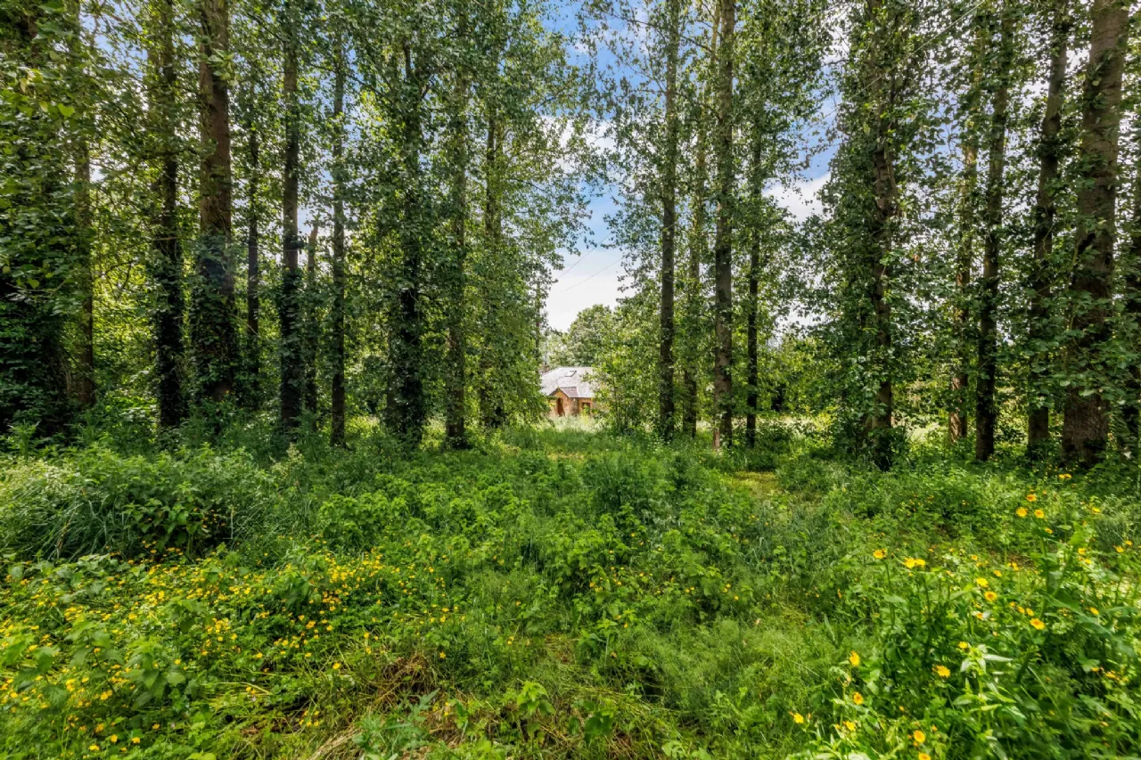Photo of Stoat Cottage, Painestown, Dunshaughlin, Co Meath, A85 RH29