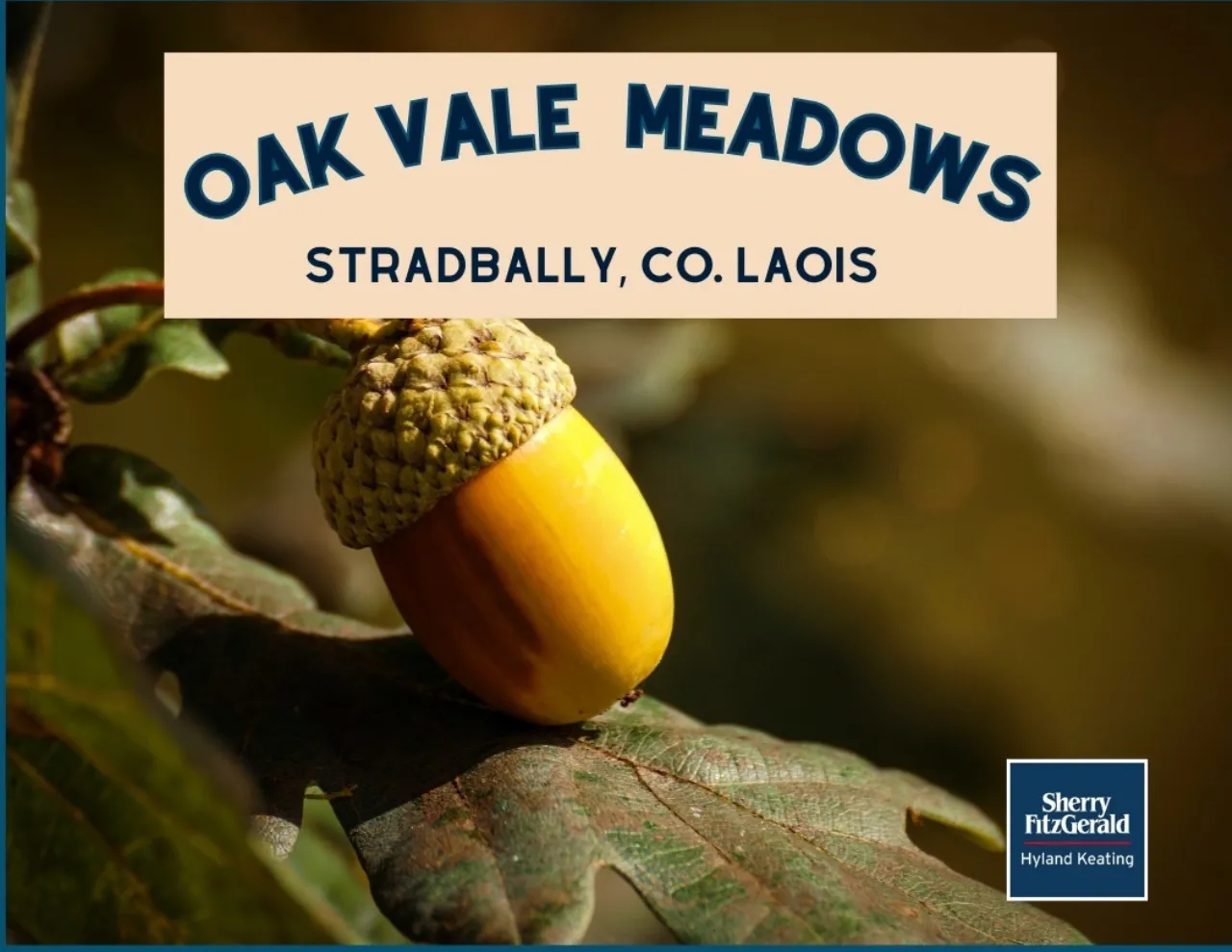 Photo of The Cedar, Oak Vale Meadows, Stradbally, Co. Laois
