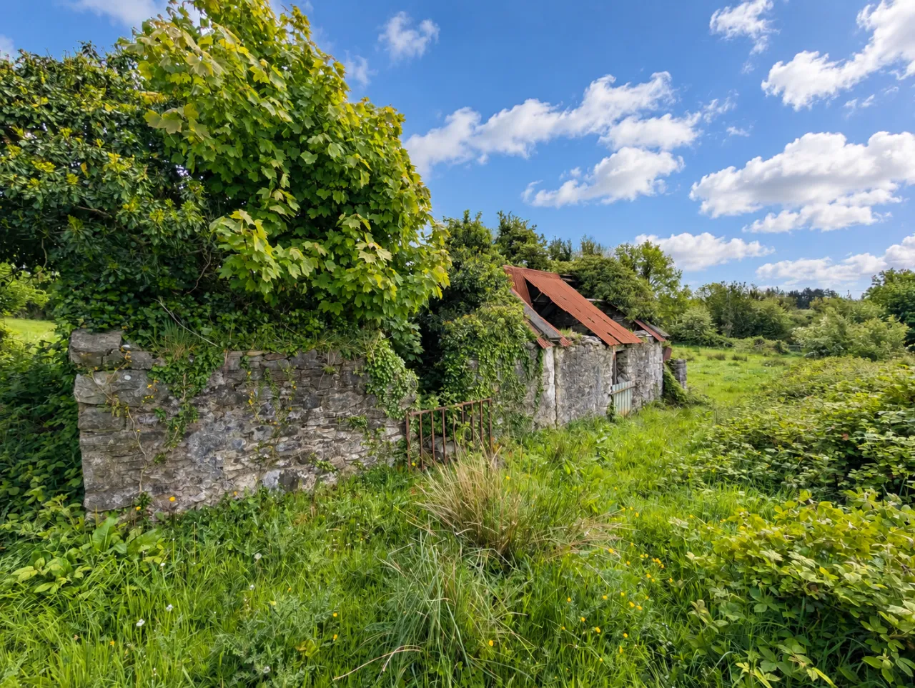 Photo of Carrowreagh, Meelick, Swinford, Co. Mayo