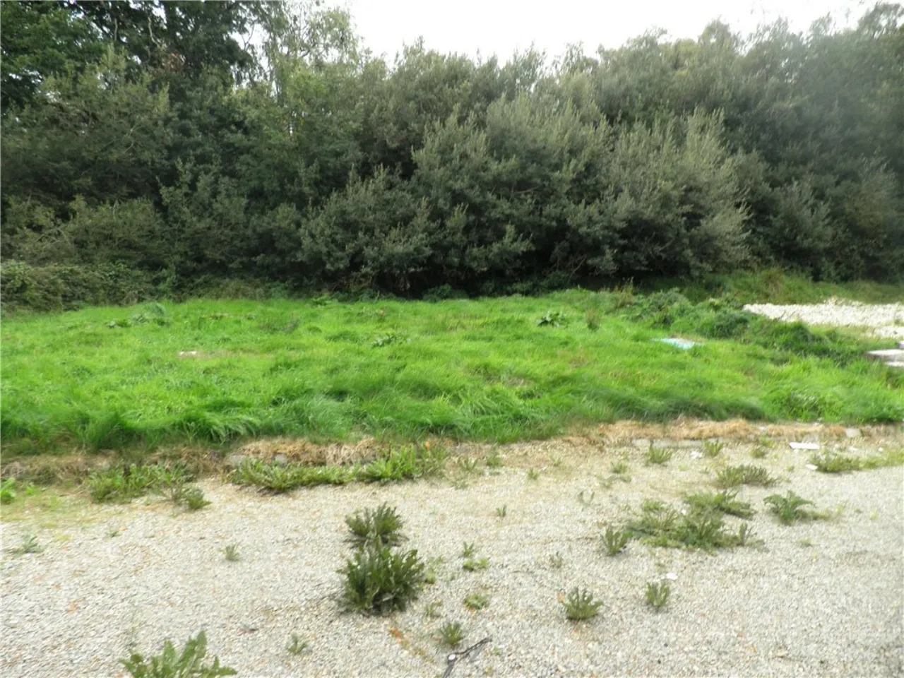 Photo of Scartlea, Muckross, Killarney, Co. Kerry, V93 X9Y5