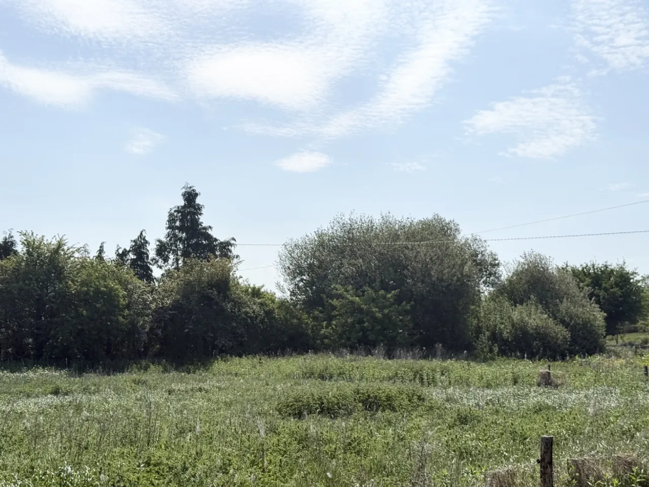 Photo of Blackwood, Robertstown, Co Kildare, W91 RYW4