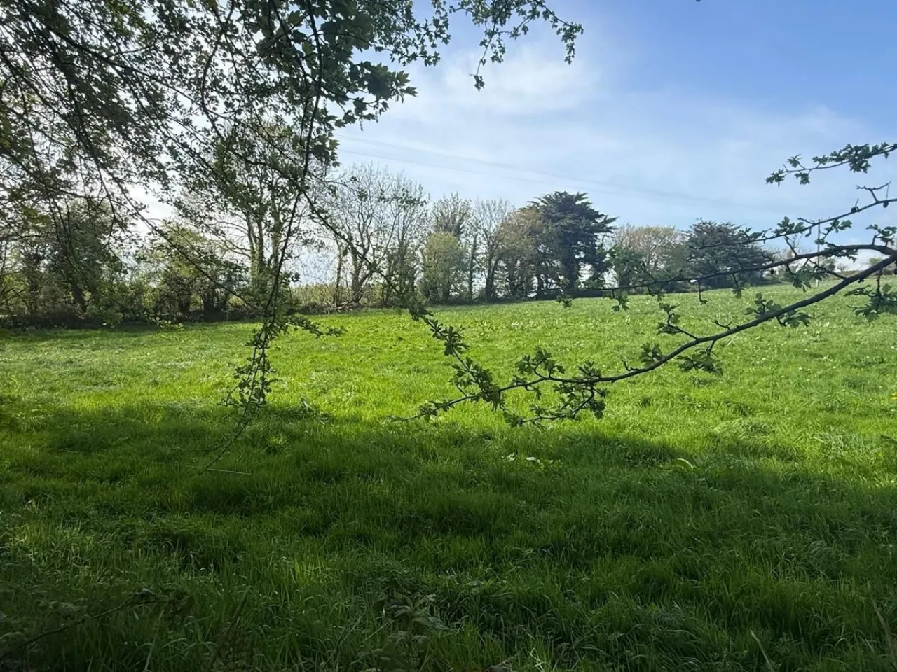 Photo of Old Park, Bandon, Bandon,, Co. Cork