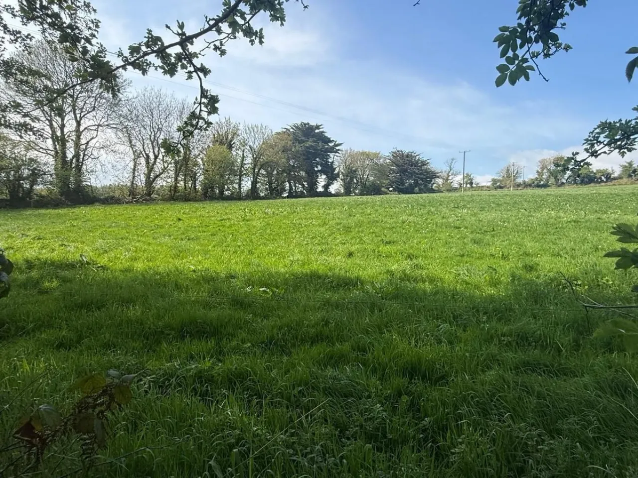 Photo of Old Park, Bandon, Bandon,, Co. Cork