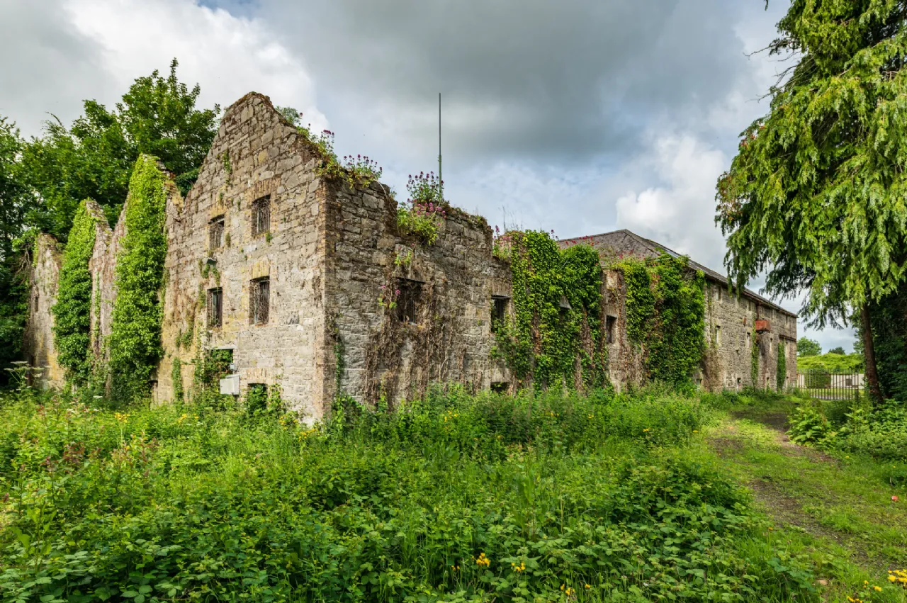 Photo of The Malt House, Monasterevin, Co Kildare, W34 WR15