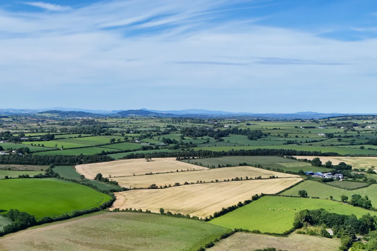 Photo of Dungeer, 56.78 Acre Site In One Or More Lots, Dungeer, Taghmon, Co Wexford