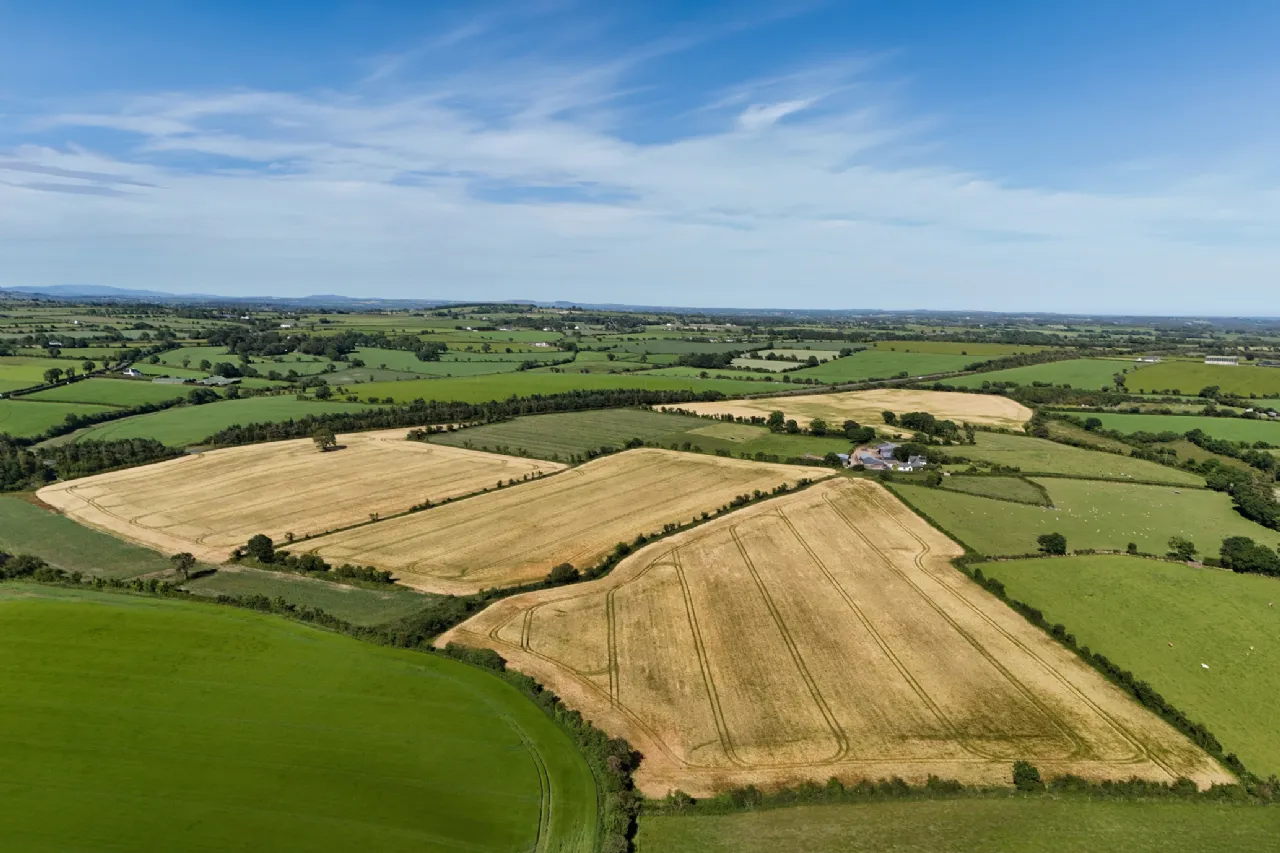 Photo of Dungeer, 56.78 Acre Site In One Or More Lots, Dungeer, Taghmon, Co Wexford
