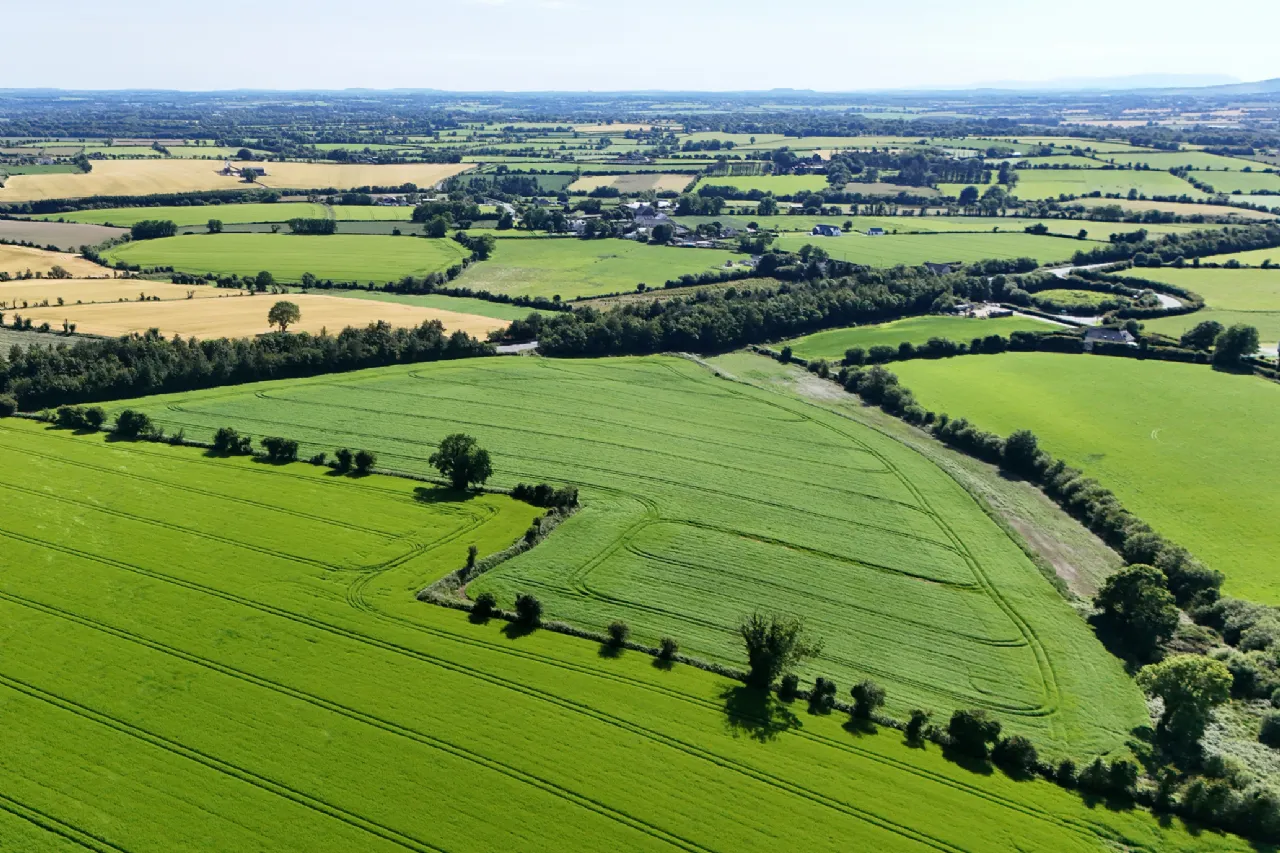 Photo of Dungeer, 56.78 Acre Site In One Or More Lots, Dungeer, Taghmon, Co Wexford