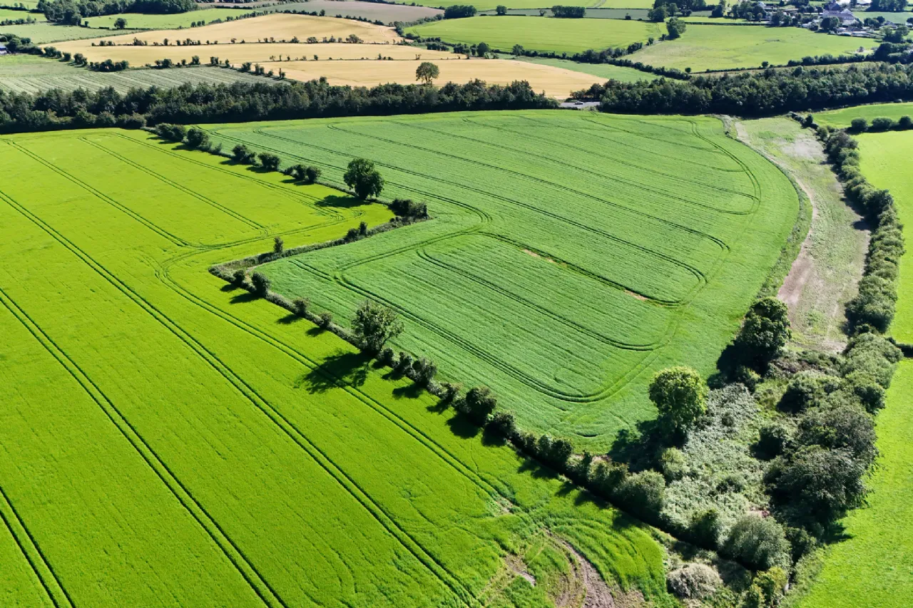 Photo of Dungeer, 56.78 Acre Site In One Or More Lots, Dungeer, Taghmon, Co Wexford
