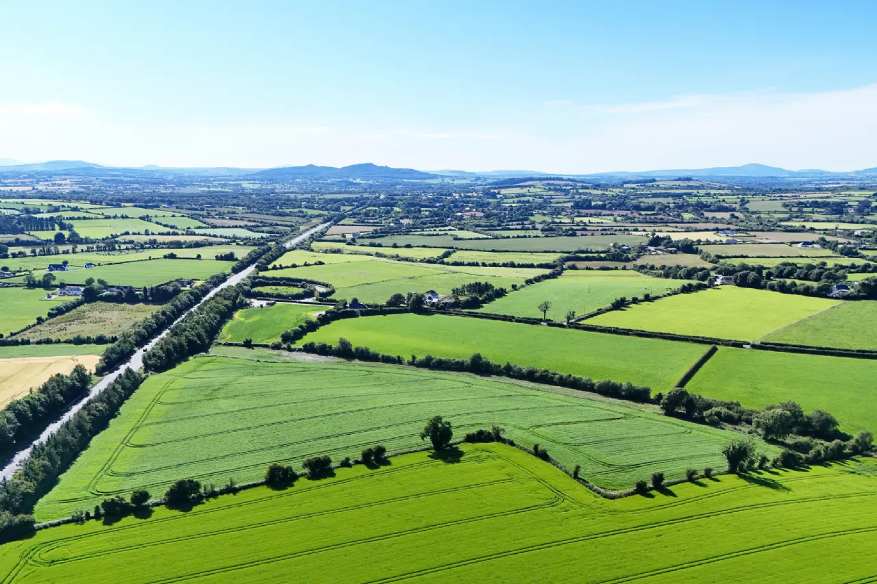 Photo of Dungeer, 56.78 Acre Site In One Or More Lots, Dungeer, Taghmon, Co Wexford