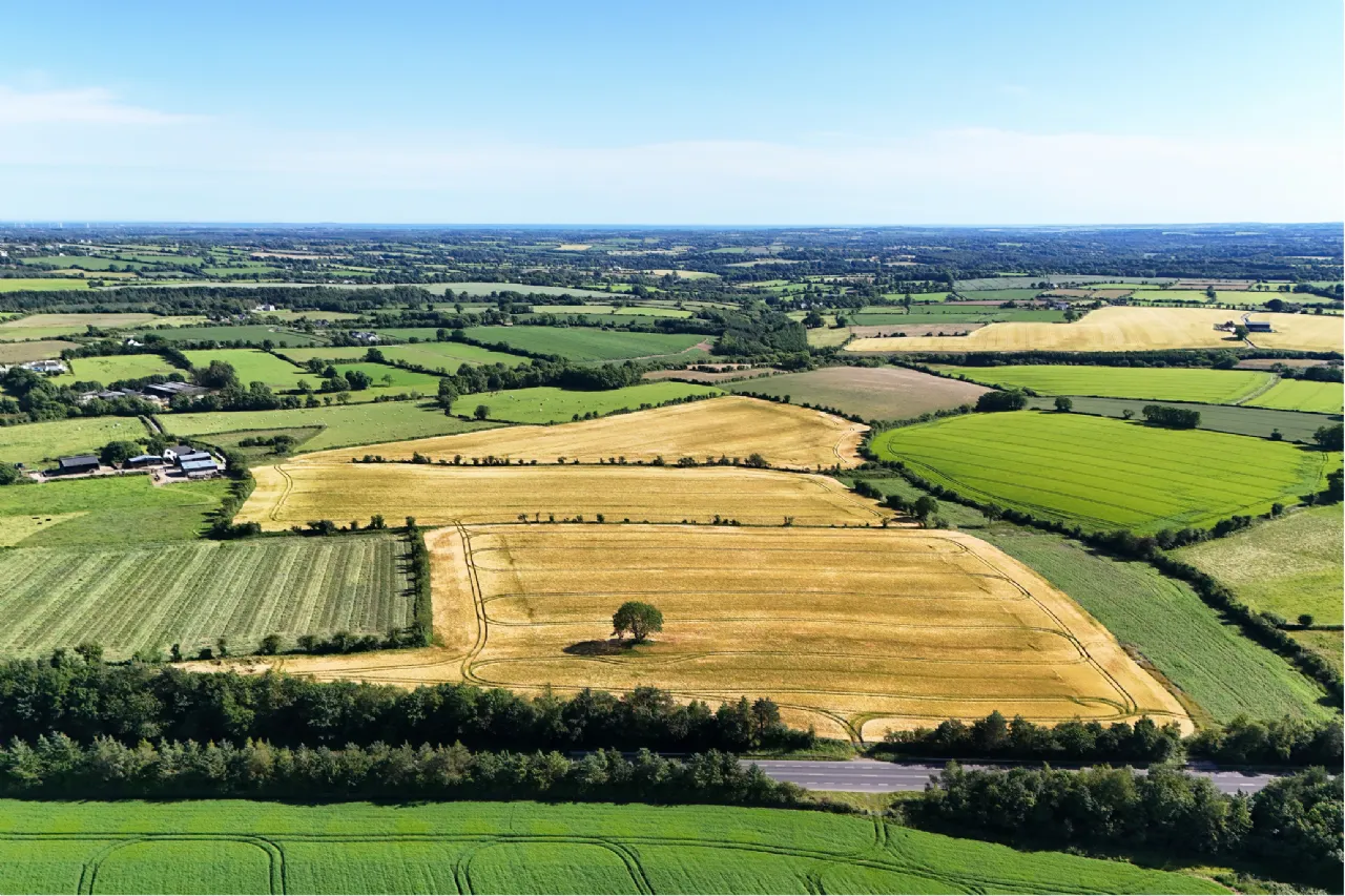 Photo of Dungeer, 56.78 Acre Site In One Or More Lots, Dungeer, Taghmon, Co Wexford