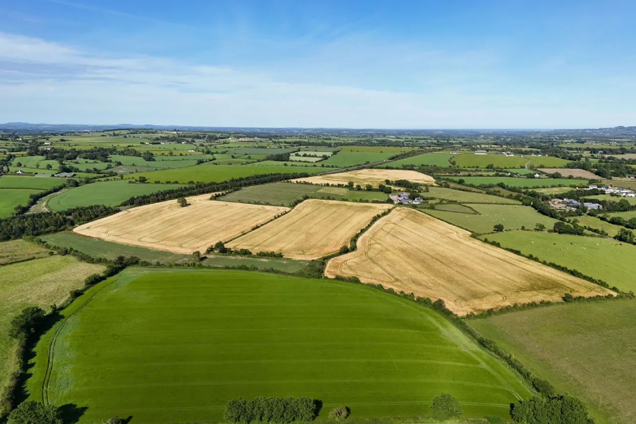 Photo of Dungeer, 56.78 Acre Site In One Or More Lots, Dungeer, Taghmon, Co Wexford