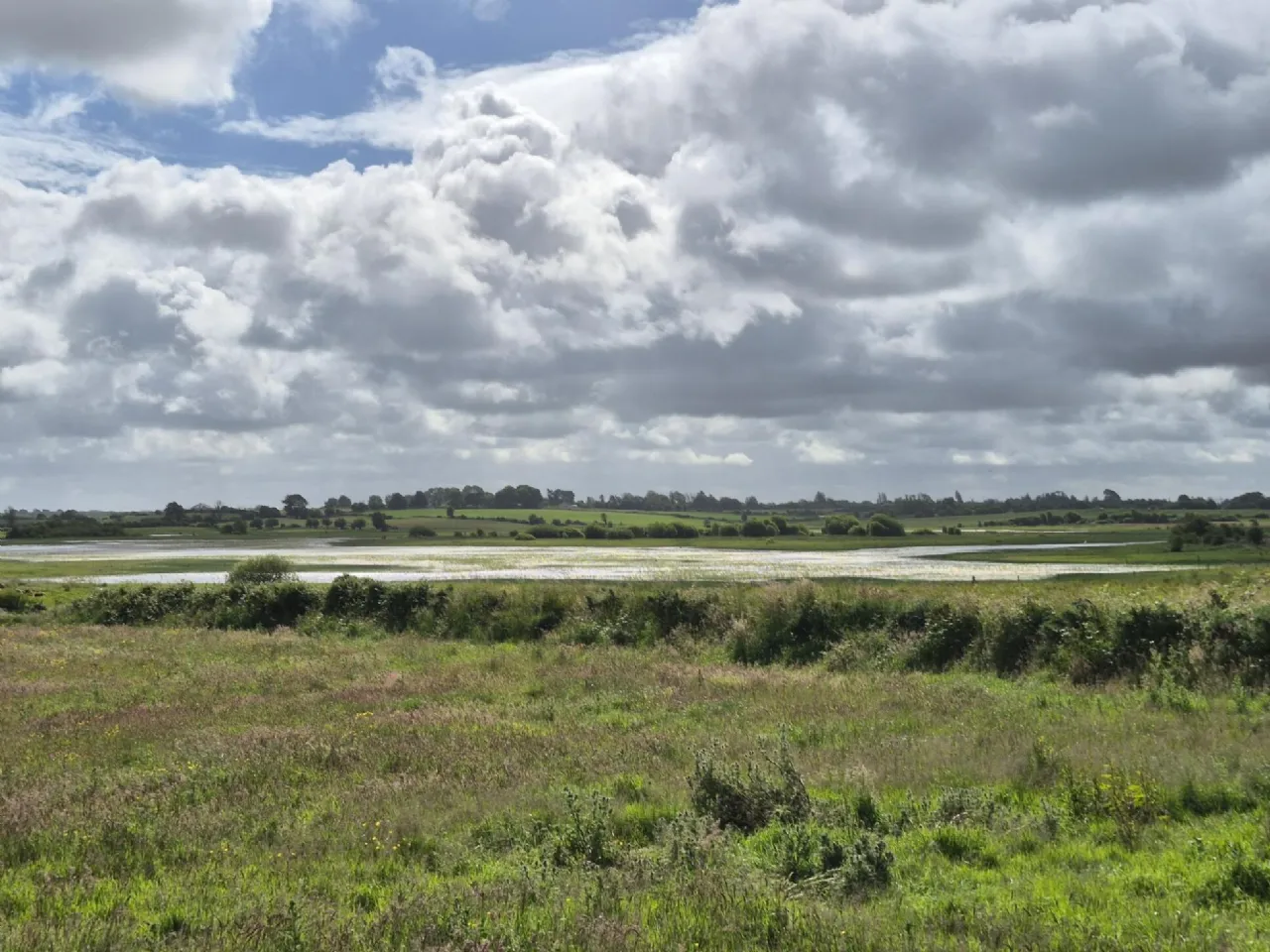 Photo of Briarforth, Williamstown, Co. Galway, F45NW26