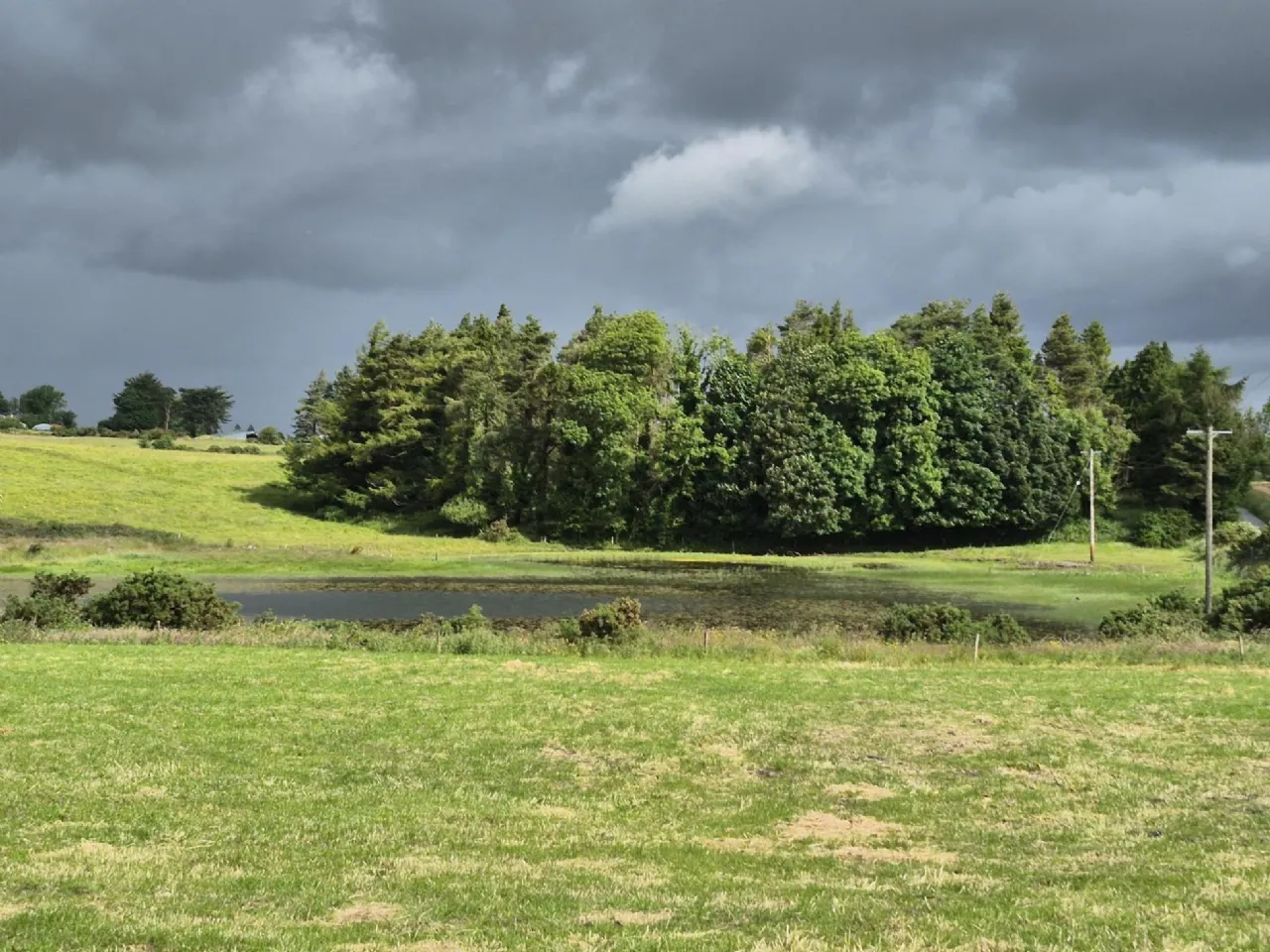 Photo of Briarforth, Williamstown, Co. Galway, F45NW26