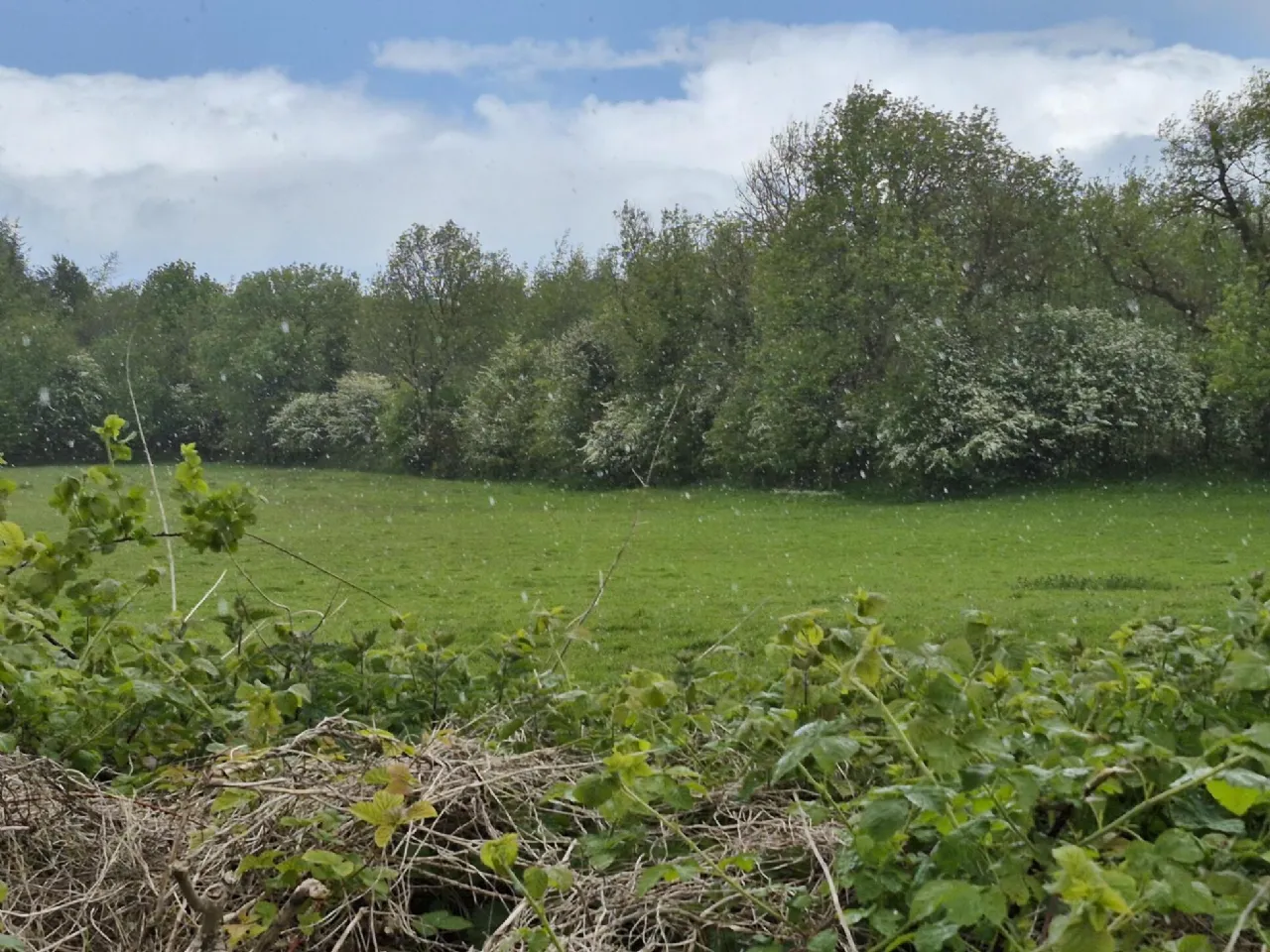 Photo of 0.5 Acre Site In Kilbannon