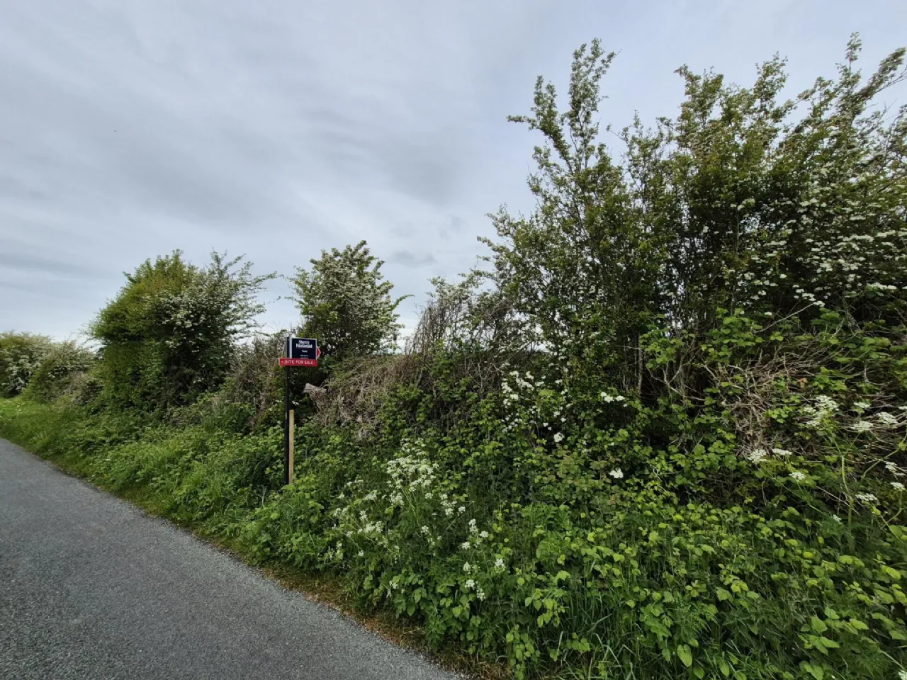Photo of 0.5 Acre Site In Kilbannon