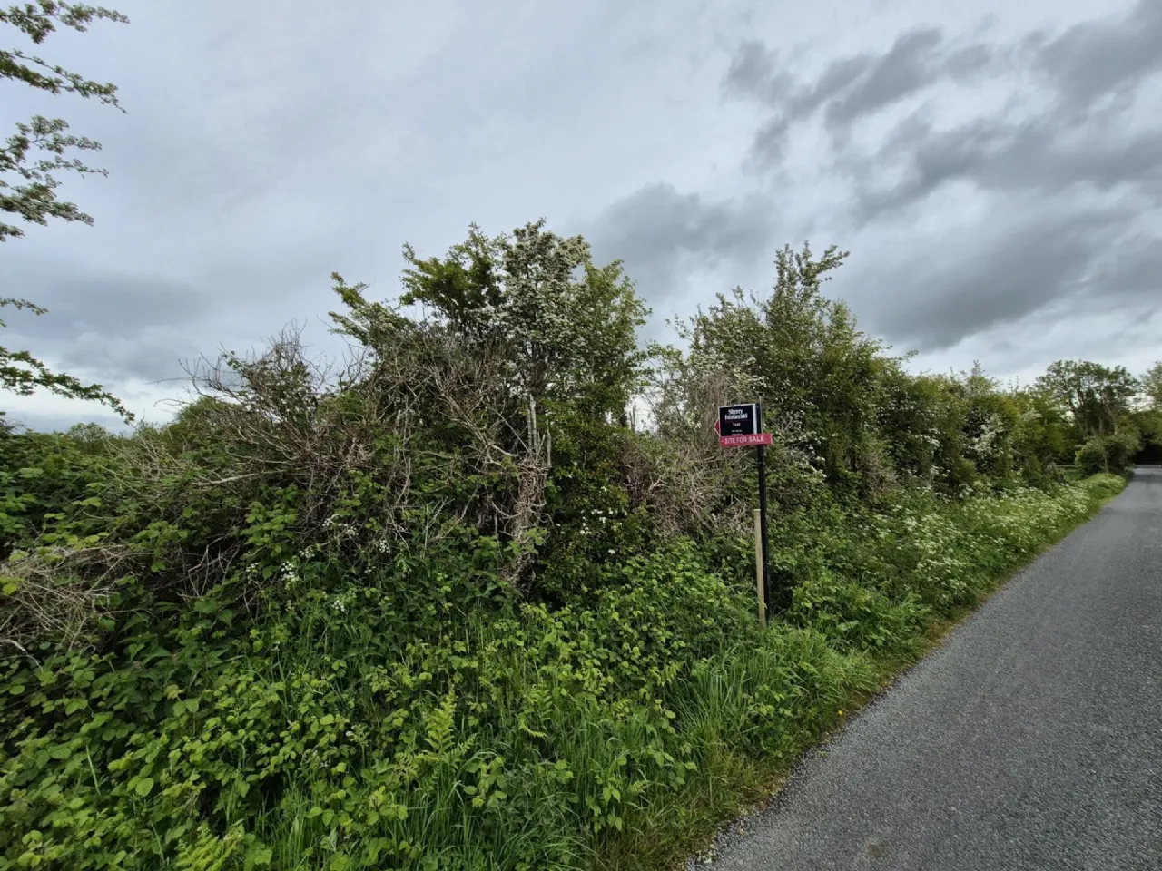 Photo of 0.5 Acre Site In Kilbannon