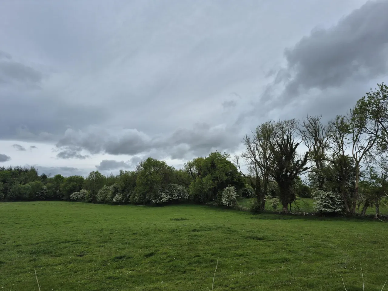 Photo of 0.5 Acre Site In Kilbannon