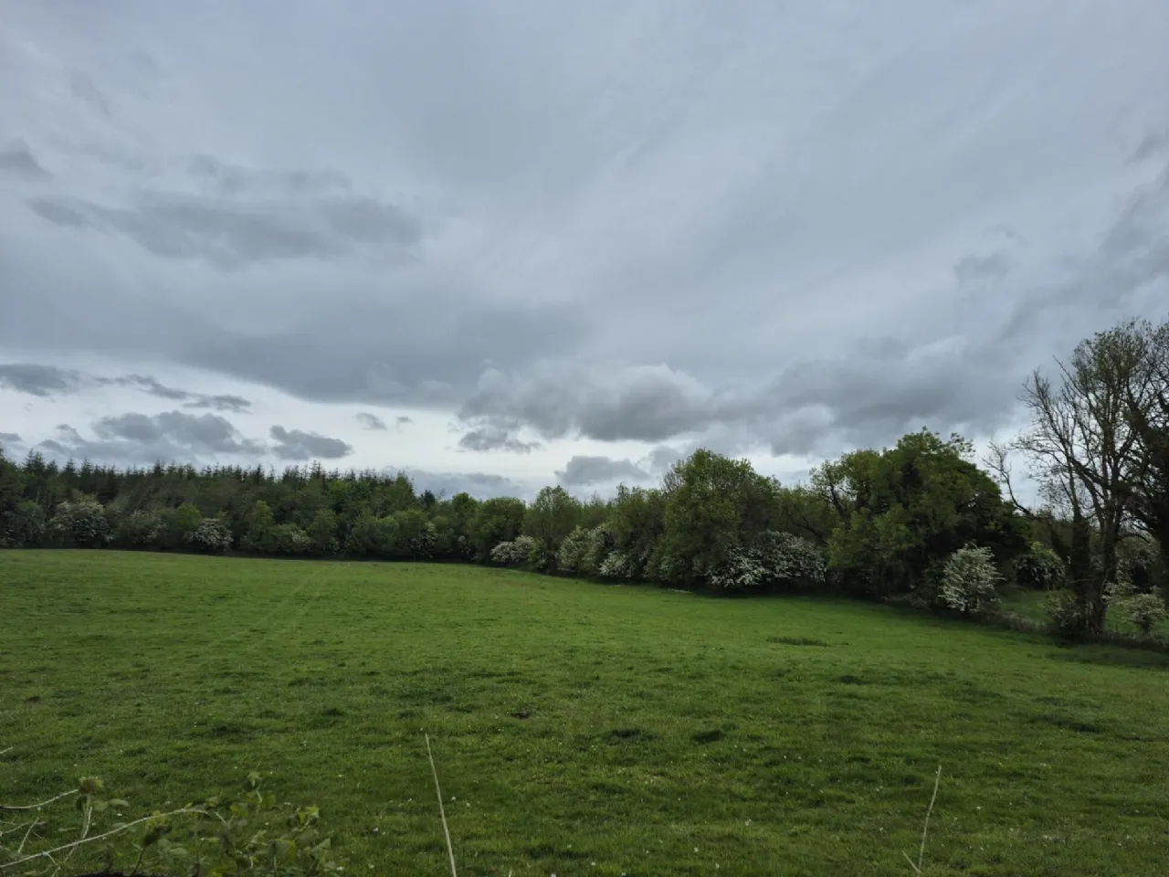 Photo of 0.5 Acre Site In Kilbannon