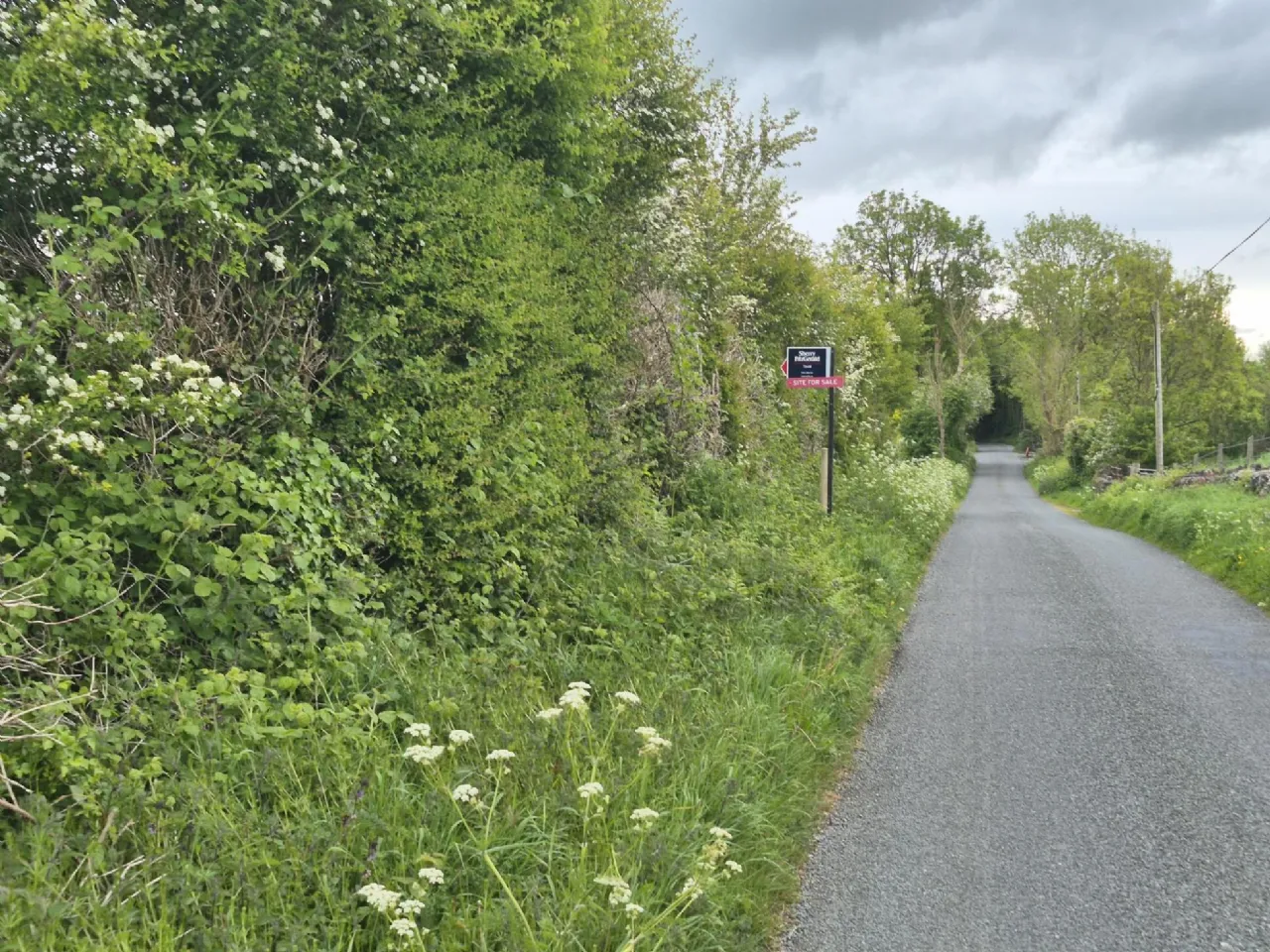 Photo of 0.5 Acre Site In Kilbannon