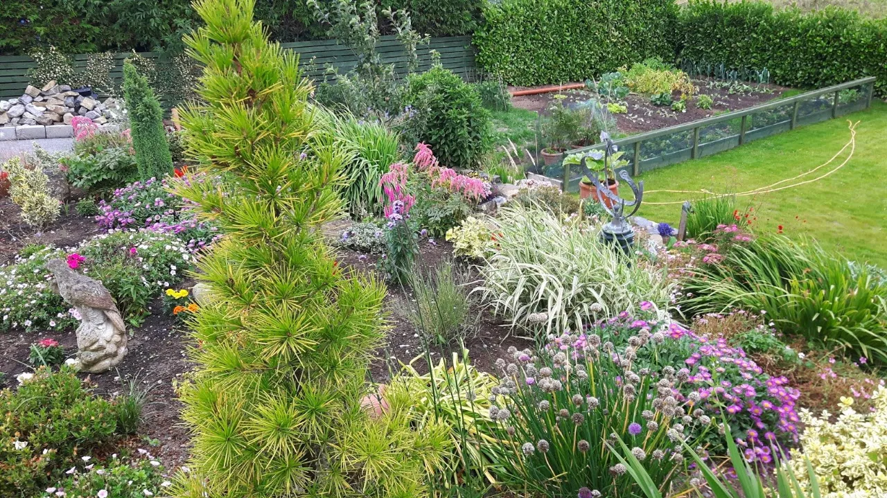 Photo of Springpark, Cloghan, Co. Offaly, R42 X950