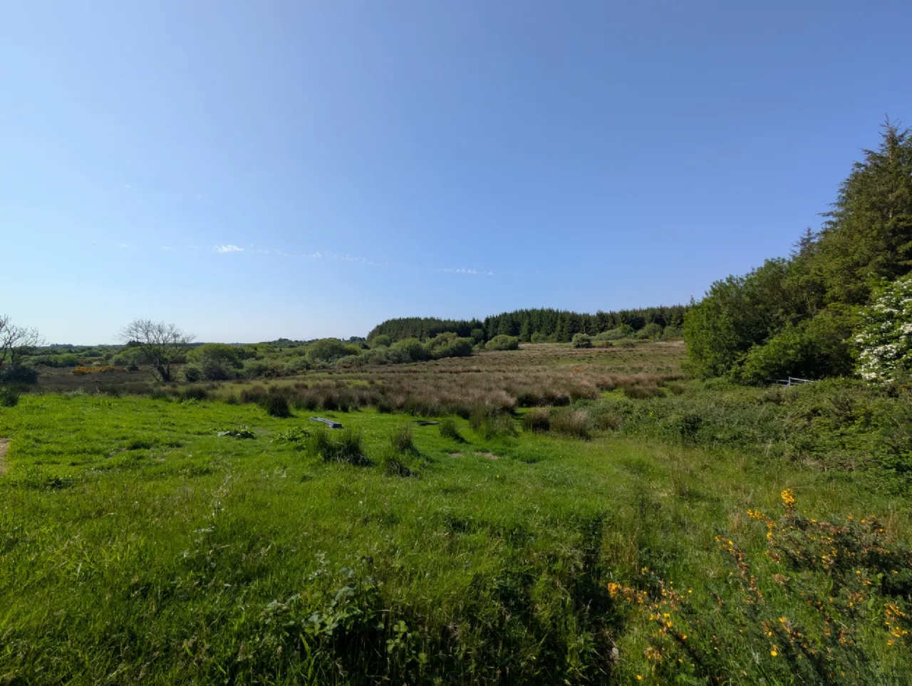 Photo of Derrynagower, Claremorris, Co Mayo