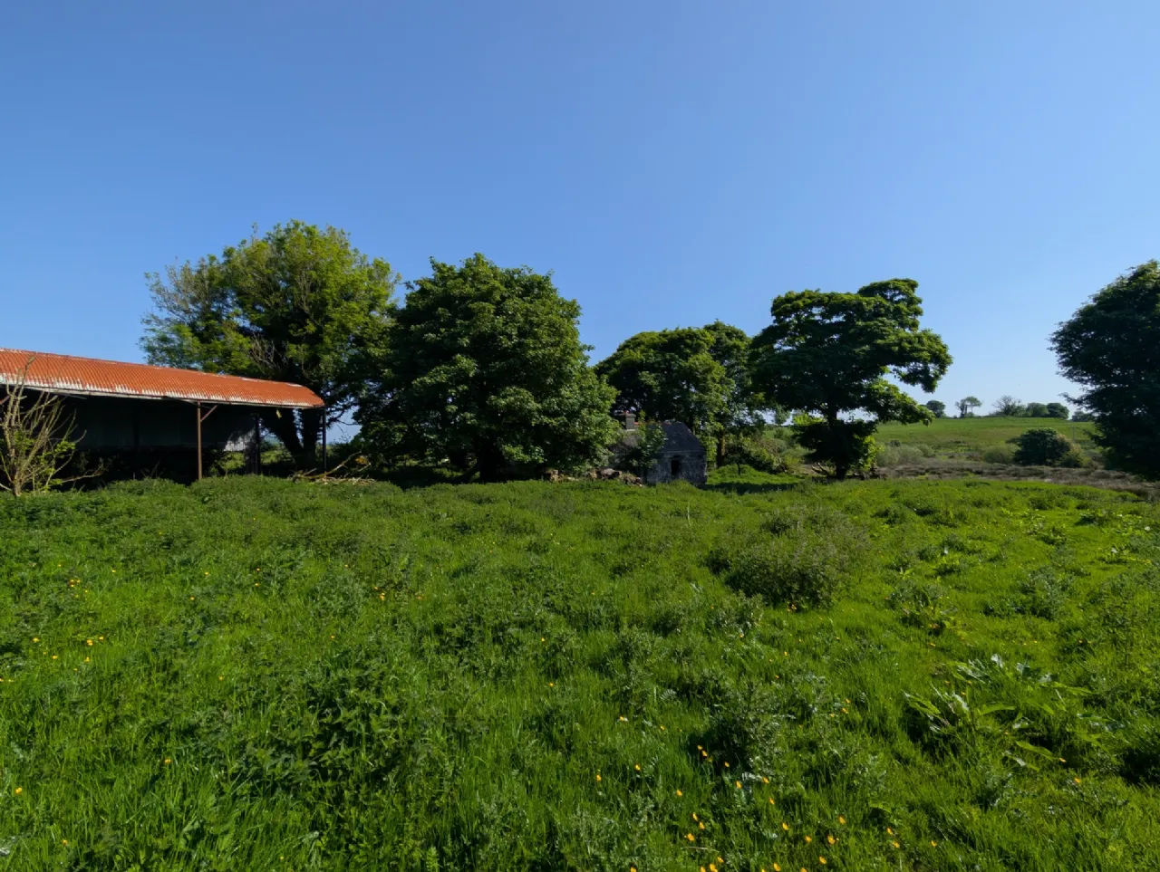 Photo of Derrynagower, Claremorris, Co Mayo