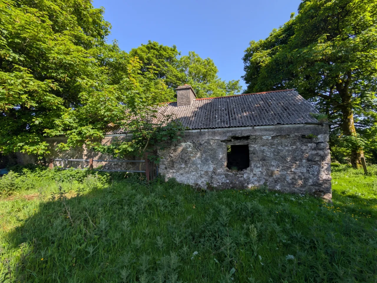 Photo of Derrynagower, Claremorris, Co Mayo