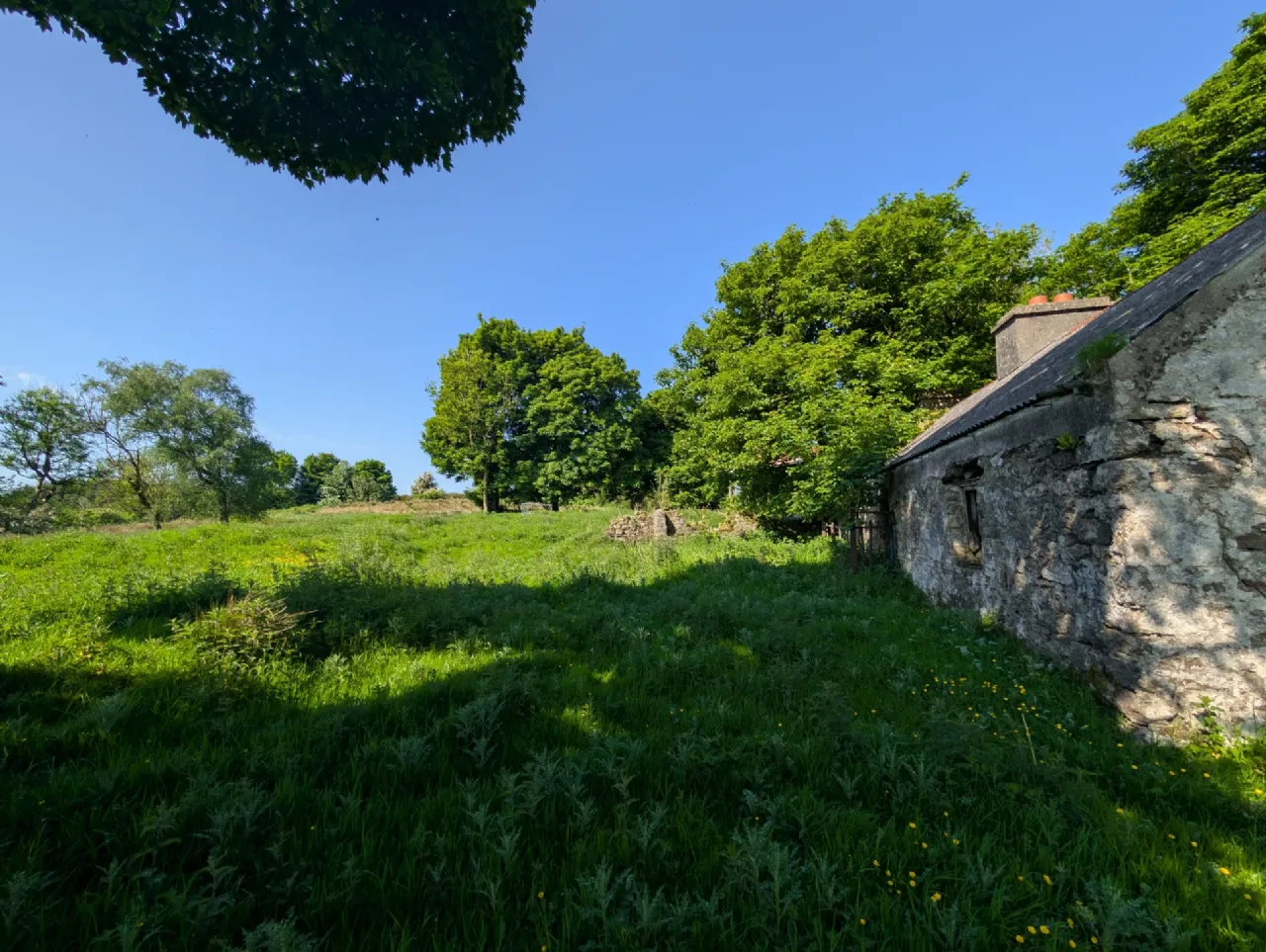 Photo of Derrynagower, Claremorris, Co Mayo