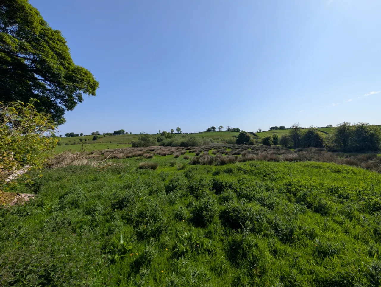 Photo of Derrynagower, Claremorris, Co Mayo