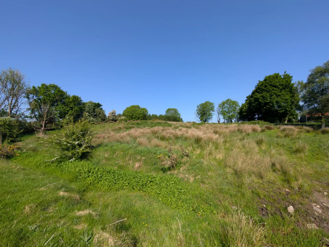 Photo of Derrynagower, Claremorris, Co Mayo