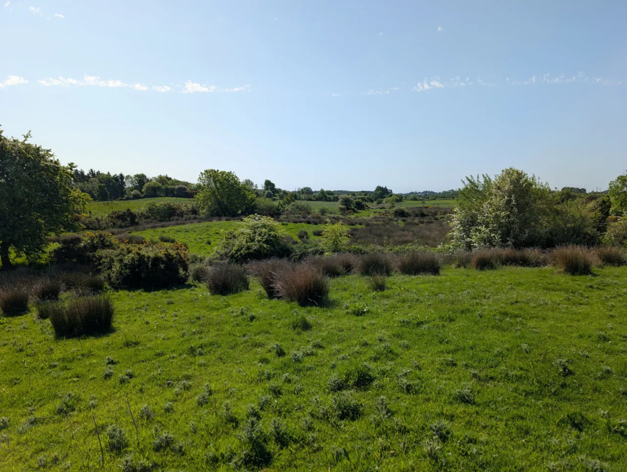 Photo of Derrynagower, Claremorris, Co Mayo