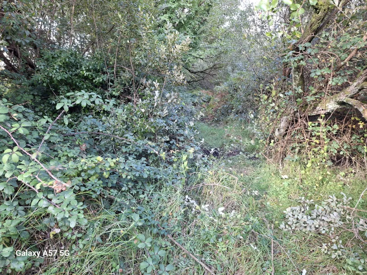 Photo of 0.23 Acre Plot of Land, The Raven, Curracloe, Co Wexford