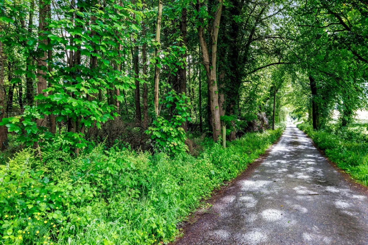 Photo of Lands, Rossarrell, Glaslough, Co. Monaghan