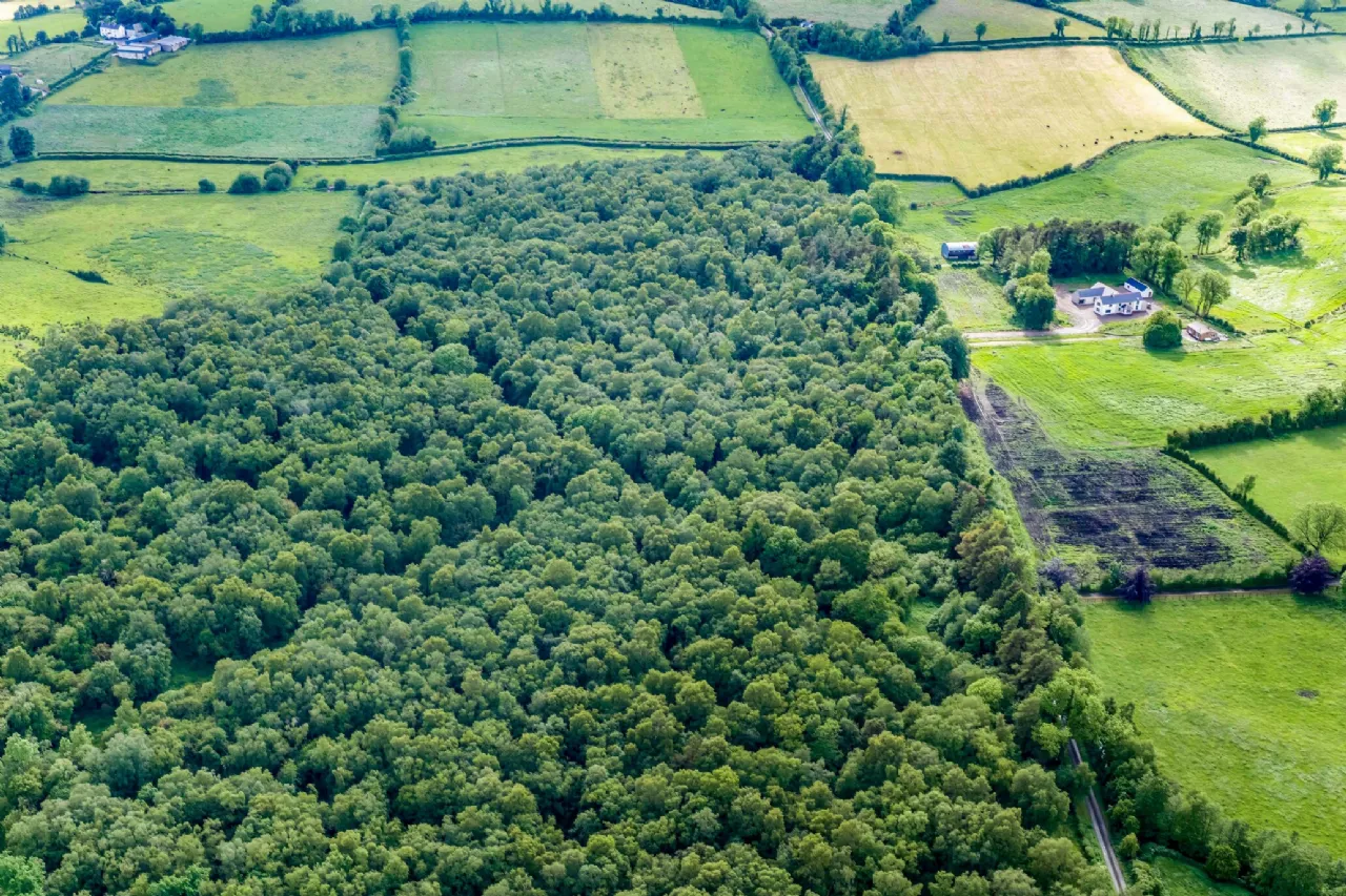 Photo of Lands, Rossarrell, Glaslough, Co. Monaghan