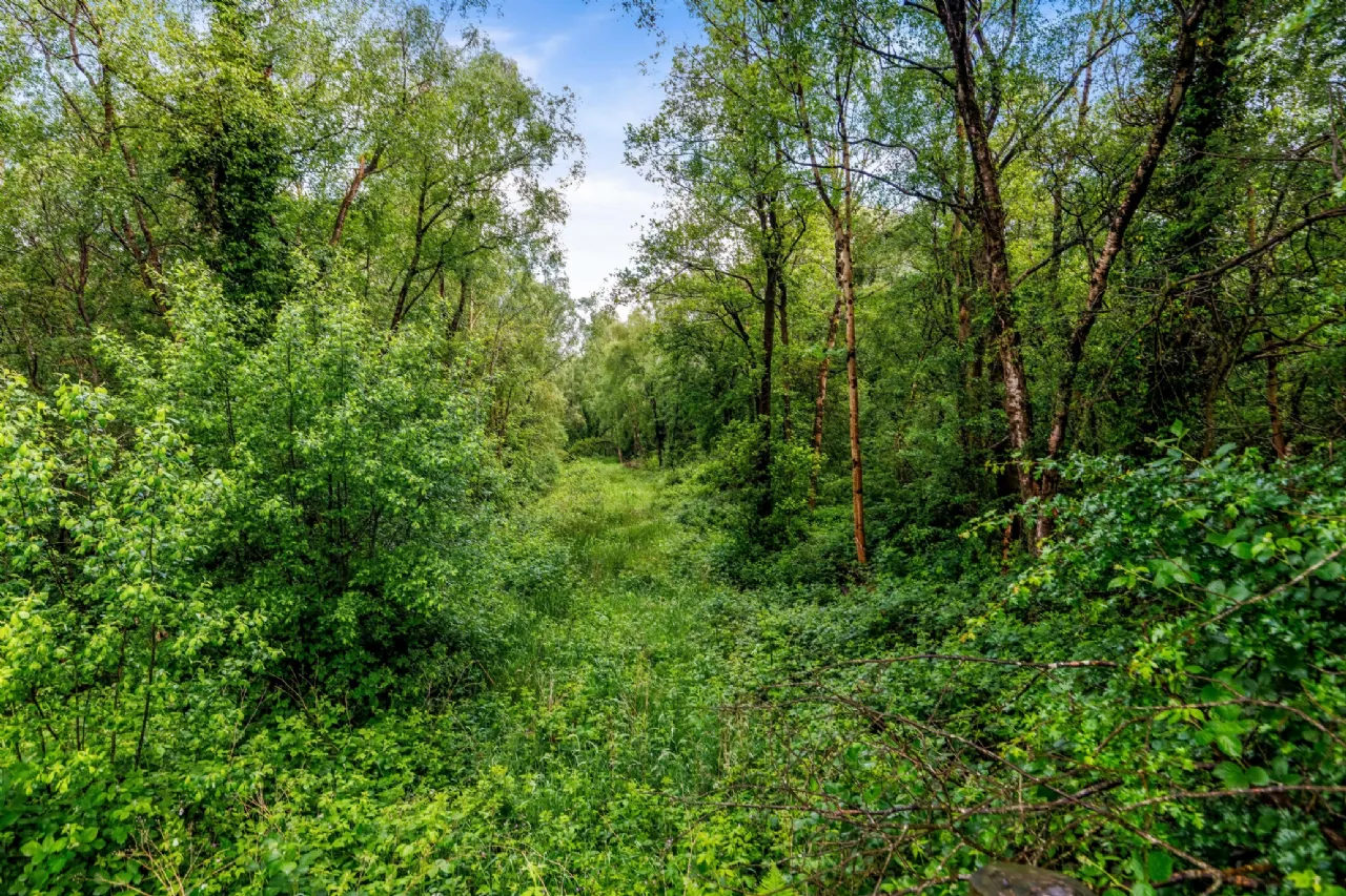 Photo of Lands, Rossarrell, Glaslough, Co. Monaghan