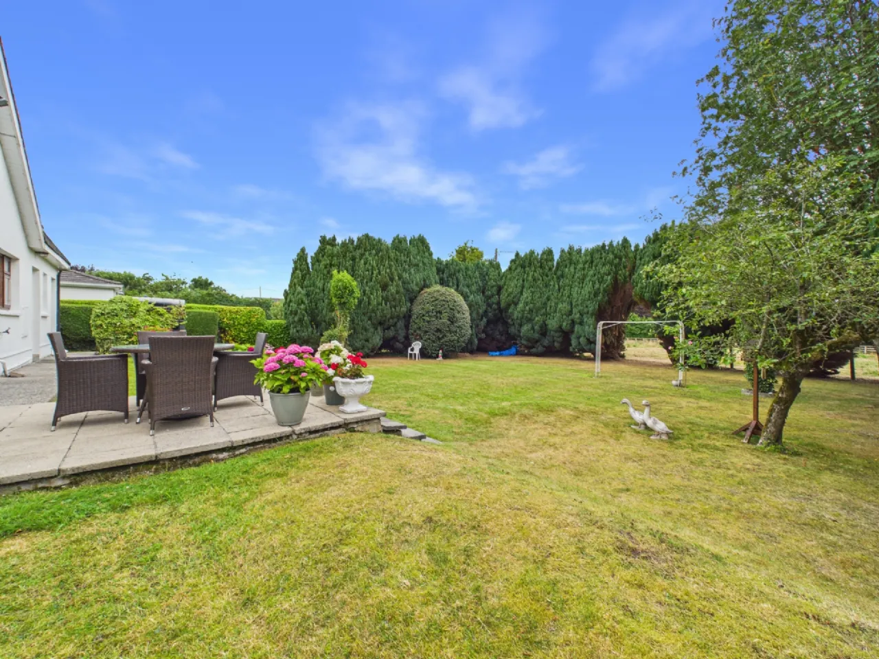 Photo of Benedine, Nenagh, Co. Tipperary, E45 KX88