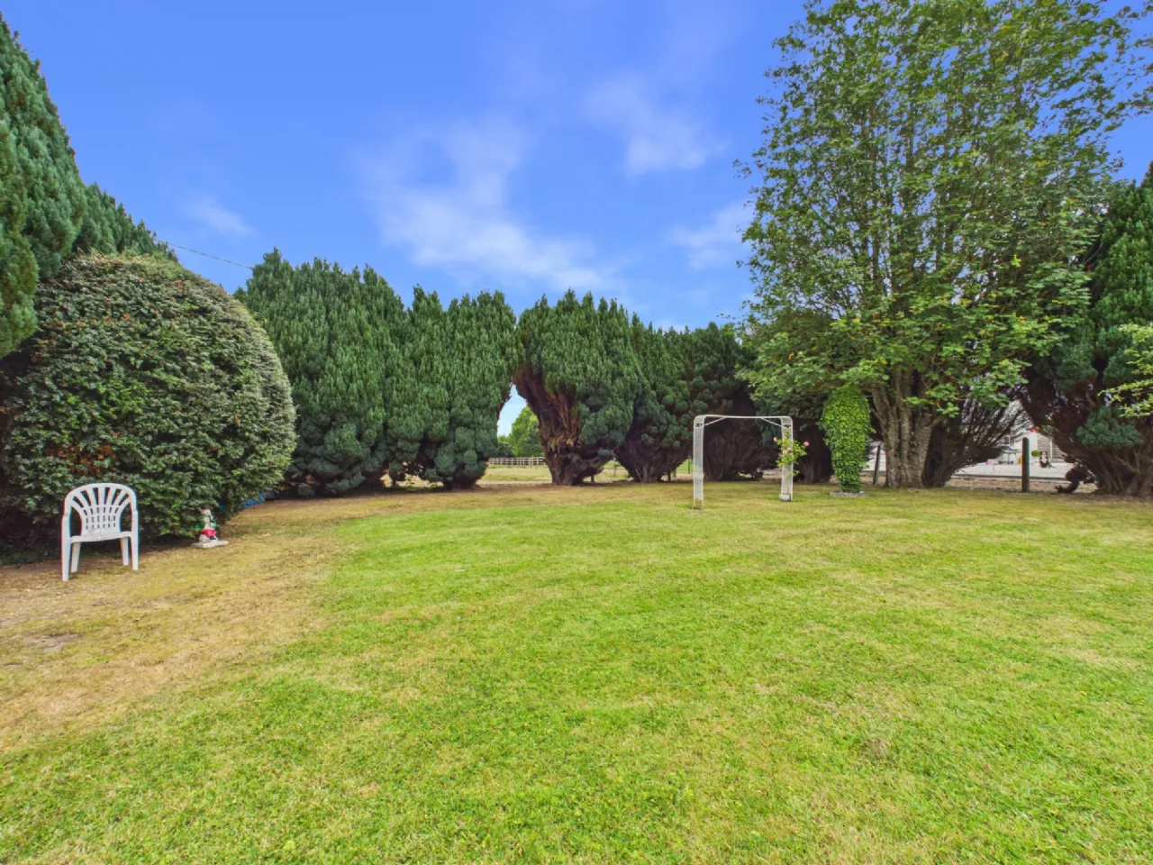 Photo of Benedine, Nenagh, Co. Tipperary, E45 KX88