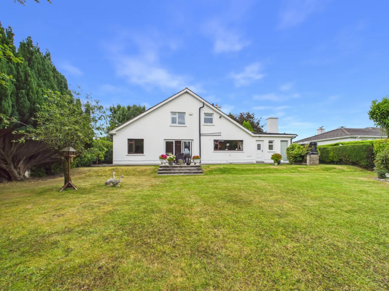 Photo of Benedine, Nenagh, Co. Tipperary, E45 KX88