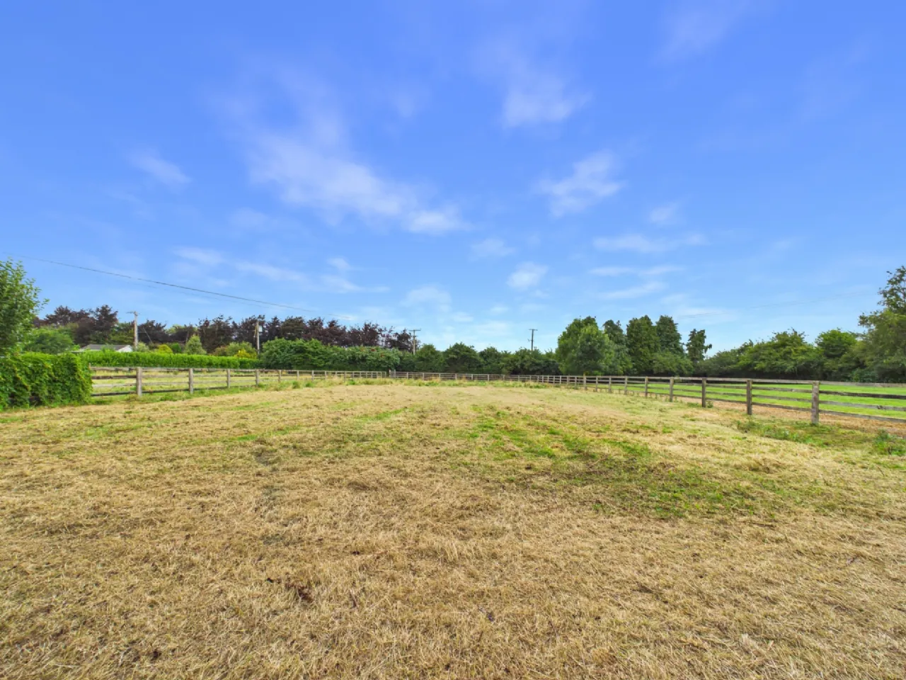 Photo of Benedine, Nenagh, Co. Tipperary, E45 KX88