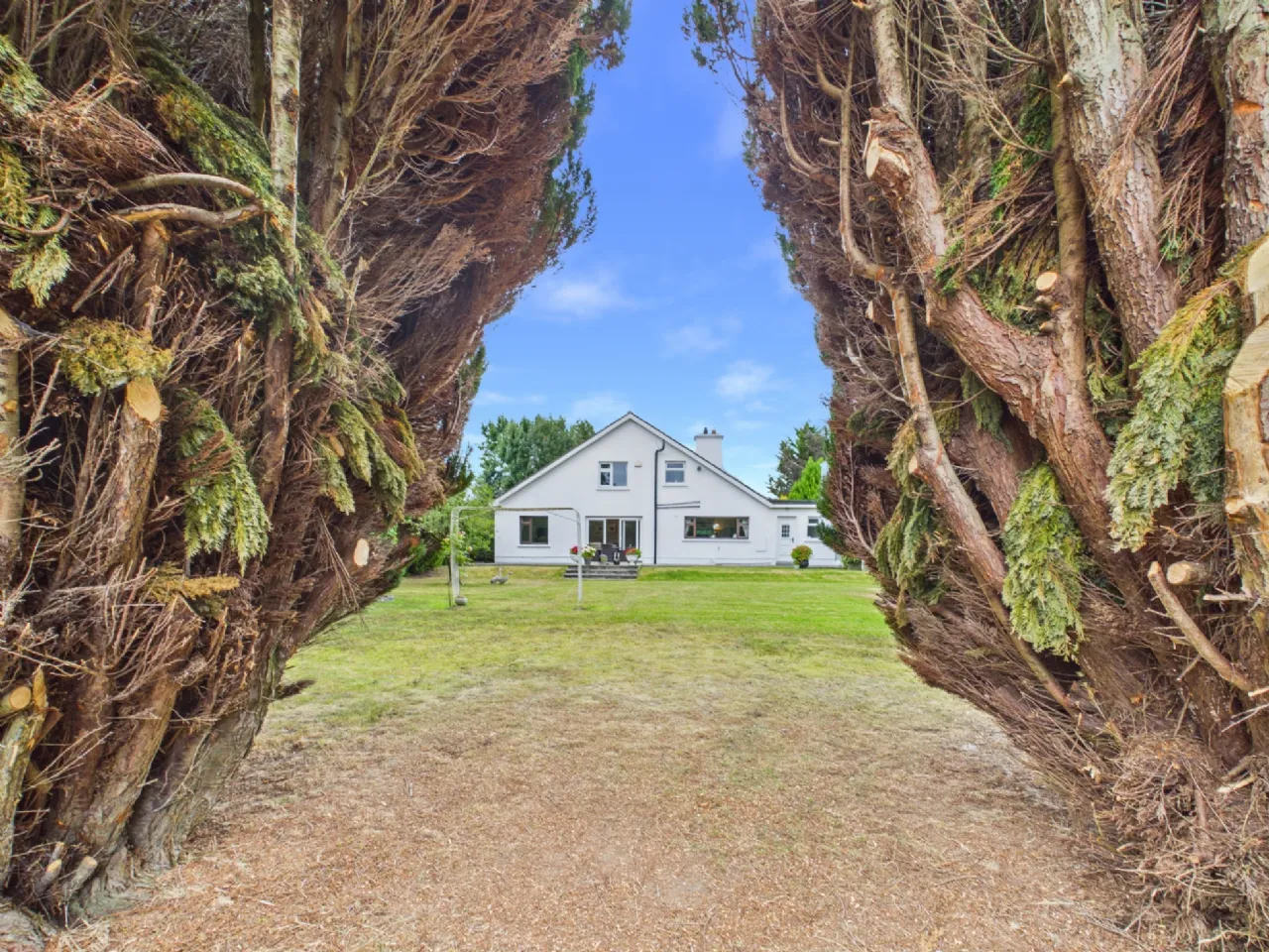 Photo of Benedine, Nenagh, Co. Tipperary, E45 KX88