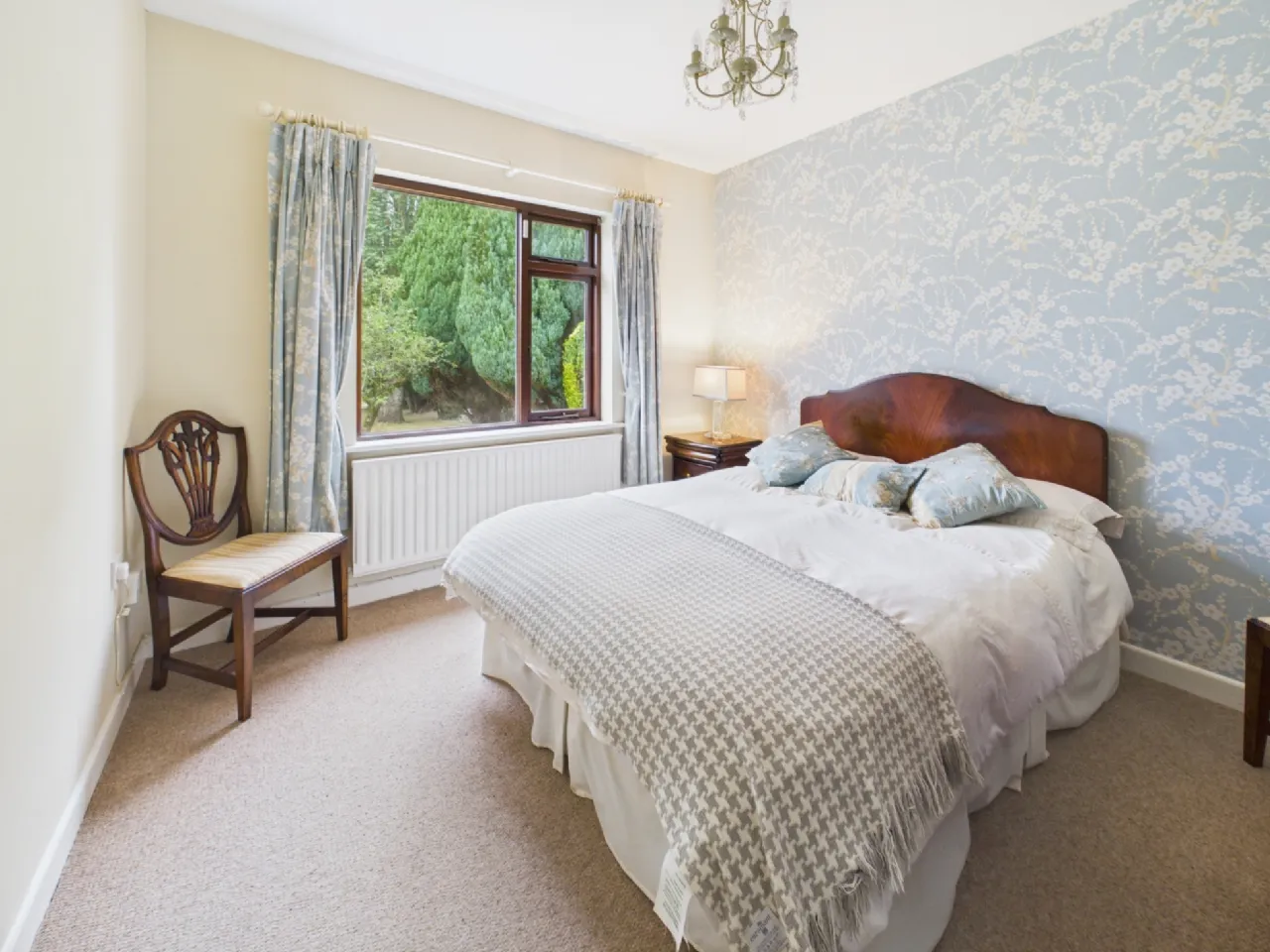 Photo of Benedine, Nenagh, Co. Tipperary, E45 KX88