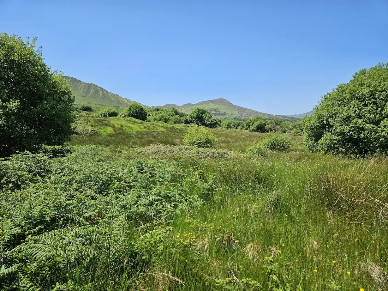 Photo of Derreenavurrig, Sneem, Co. Kerry, V93 K5CX