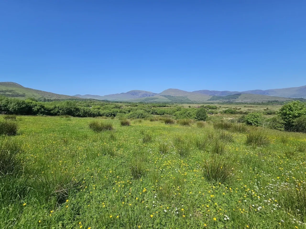 Photo of Derreenavurrig, Sneem, Co. Kerry, V93 K5CX